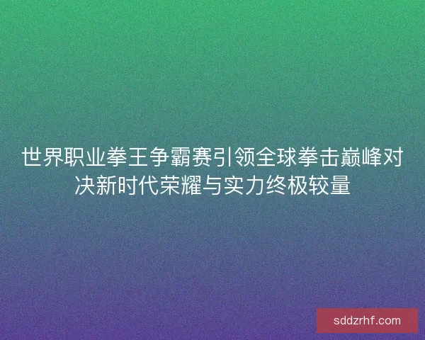 世界职业拳王争霸赛引领全球拳击巅峰对决新时代荣耀与实力终极较量